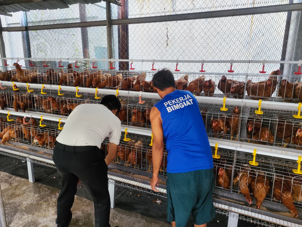 Foto kegiatan