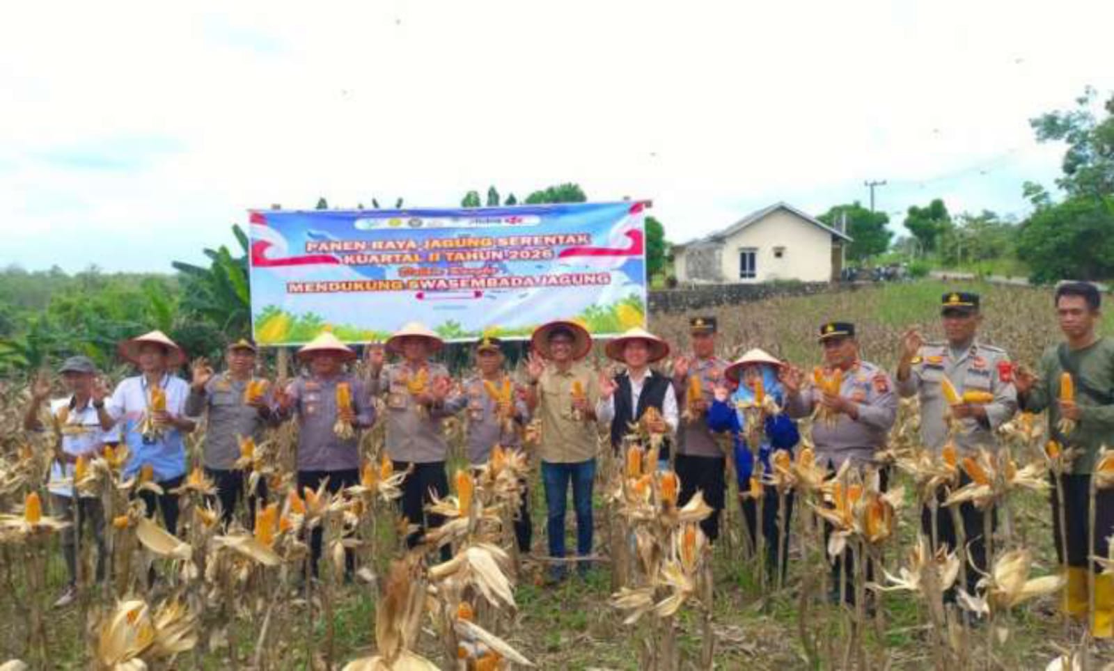 Polres OKU Dukung Swasembada Pangan 2026 Gelar Panen Raya Jagung Serentak Kuartal II Tahun 2026